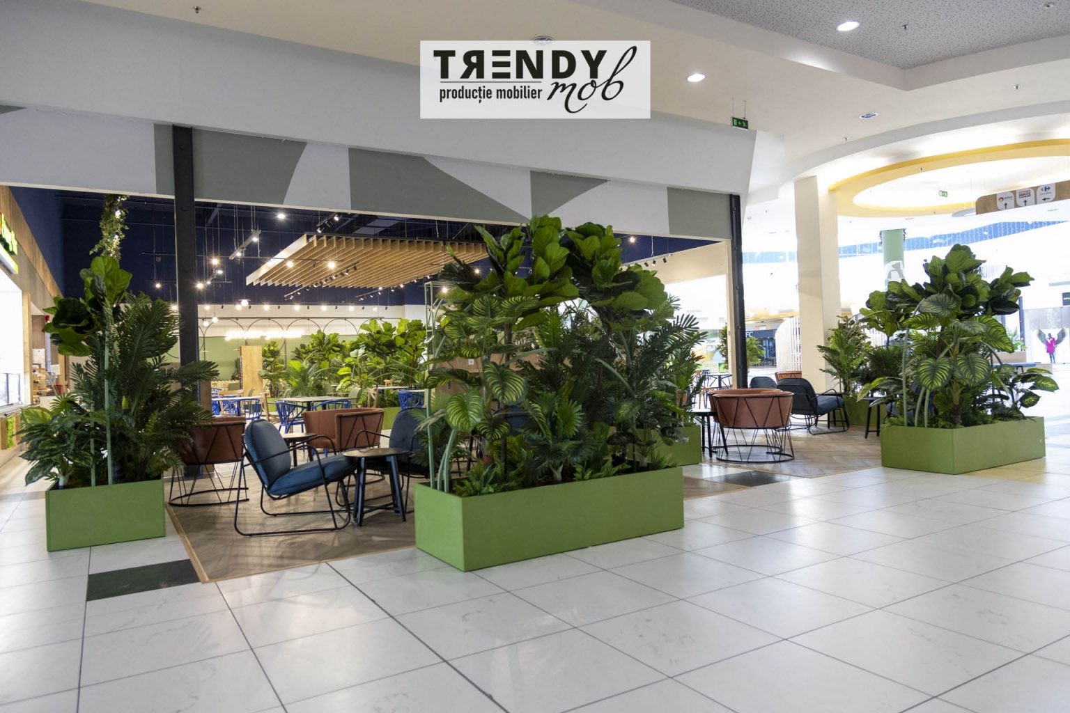 Proiect comercial - ERA Park Oradea