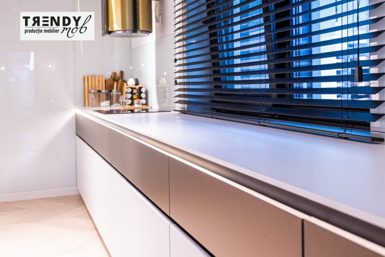 Kitchen, Grigorescu residential project