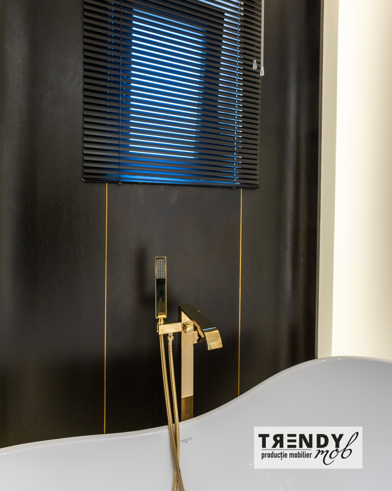 Bathroom, Grigorescu residential project