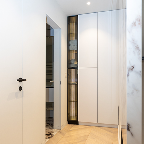 Residential project hall Grigorescu