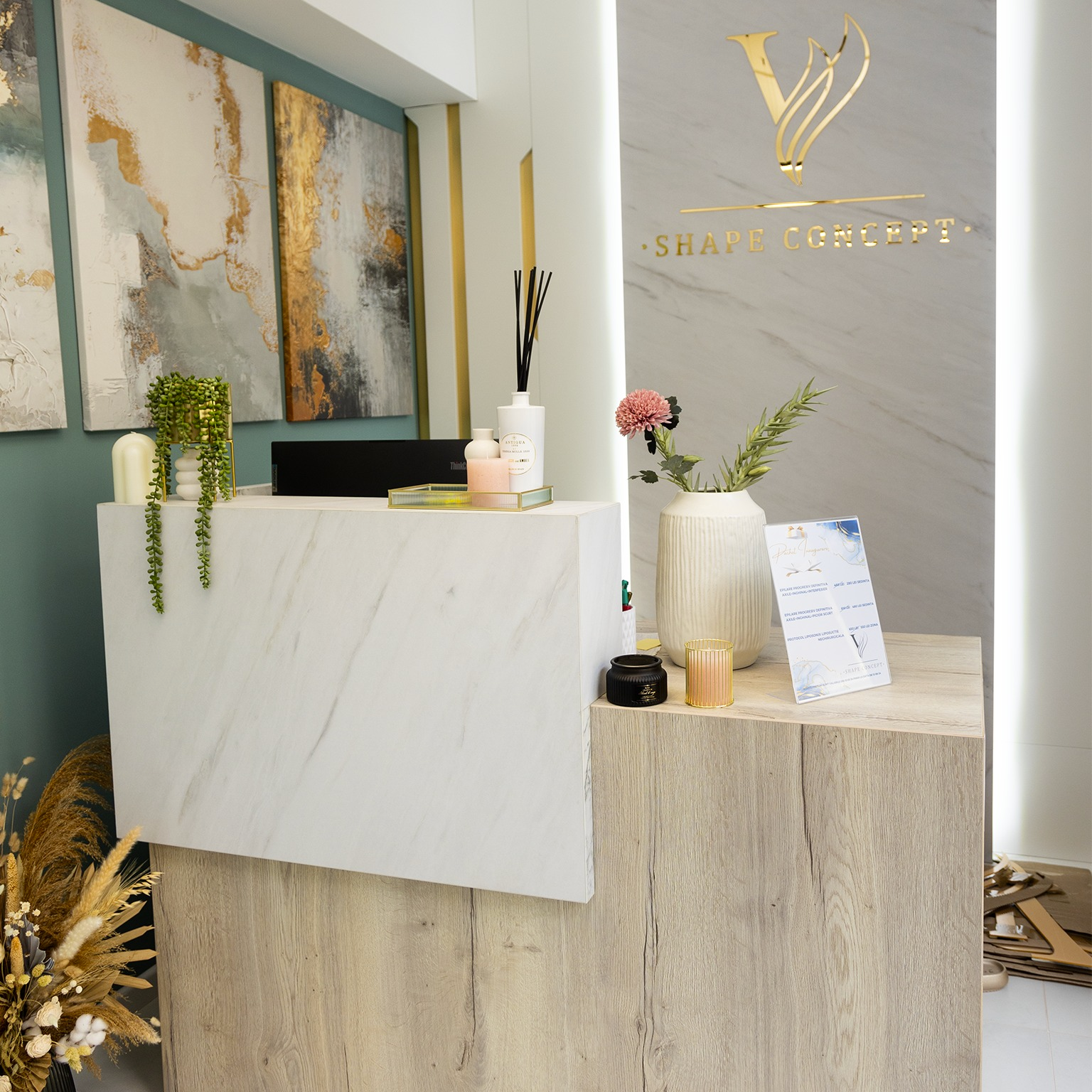 Salon – V Shape Concept